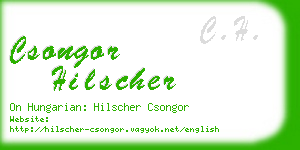 csongor hilscher business card
